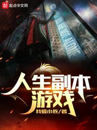 人生副本游戏章节列表