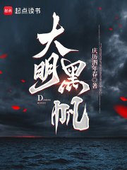 大明黑帆章节列表